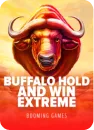 Buffalo Hold and Win Extreme